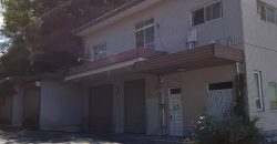 Aoyama Hane store residence