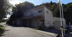 Aoyama Hane store residence